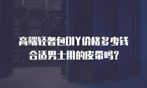 高端轻奢包DIY价格多少钱合适男士用的皮带吗？