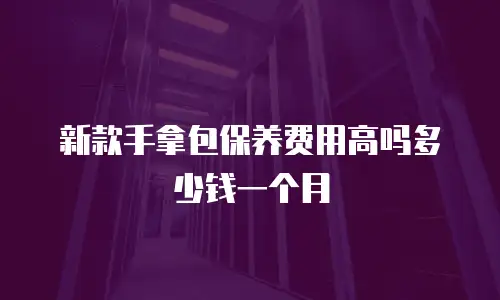 新款手拿包保养费用高吗多少钱一个月