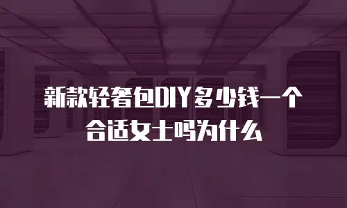 新款轻奢包DIY多少钱一个合适女士吗为什么