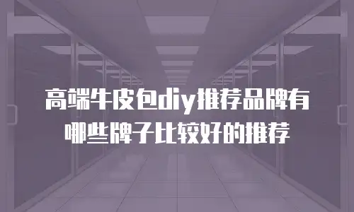高端牛皮包diy推荐品牌有哪些牌子比较好的推荐