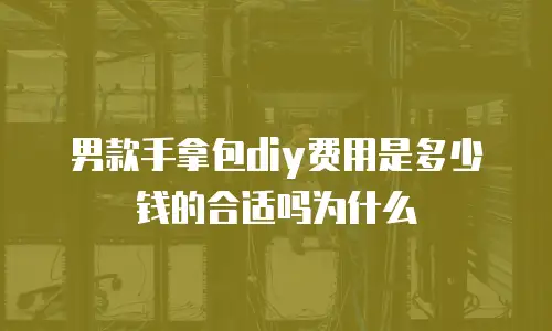 男款手拿包diy费用是多少钱的合适吗为什么