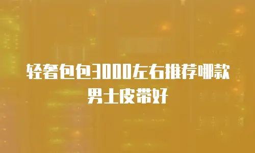 轻奢包包3000左右推荐哪款男士皮带好