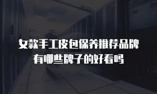 女款手工皮包保养推荐品牌有哪些牌子的好看吗