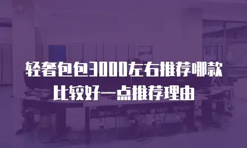 轻奢包包3000左右推荐哪款比较好一点推荐理由