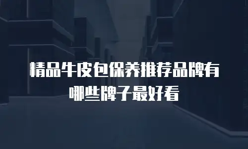 精品牛皮包保养推荐品牌有哪些牌子最好看