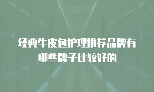 经典牛皮包护理推荐品牌有哪些牌子比较好的