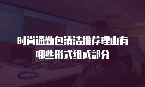 时尚通勤包清洁推荐理由有哪些形式组成部分