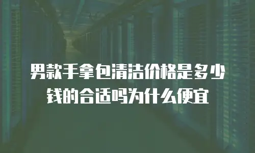 男款手拿包清洁价格是多少钱的合适吗为什么便宜