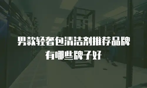 男款轻奢包清洁剂推荐品牌有哪些牌子好
