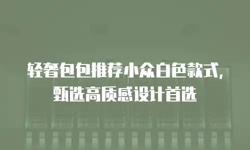 轻奢包包推荐小众白色款式，甄选高质感设计首选