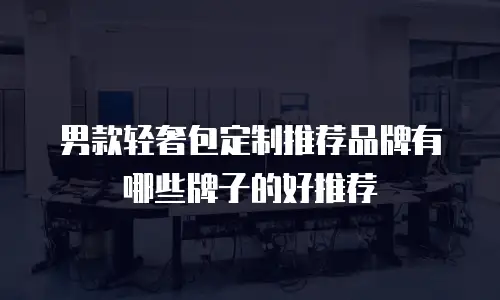 男款轻奢包定制推荐品牌有哪些牌子的好推荐