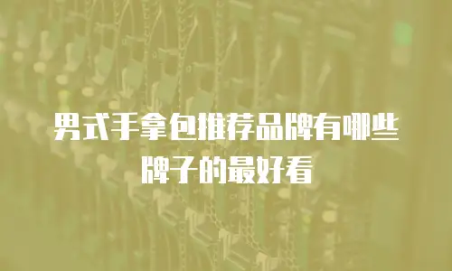 男式手拿包推荐品牌有哪些牌子的最好看