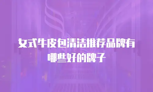 女式牛皮包清洁推荐品牌有哪些好的牌子