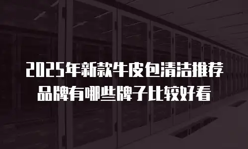 2025年新款牛皮包清洁推荐品牌有哪些牌子比较好看