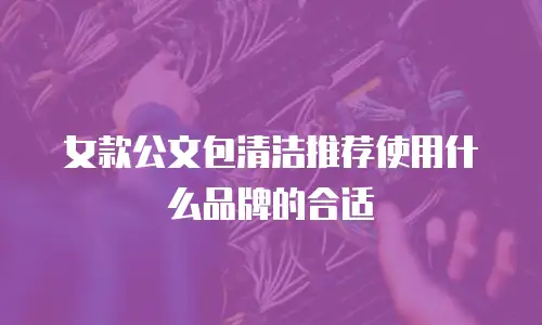 女款公文包清洁推荐使用什么品牌的合适