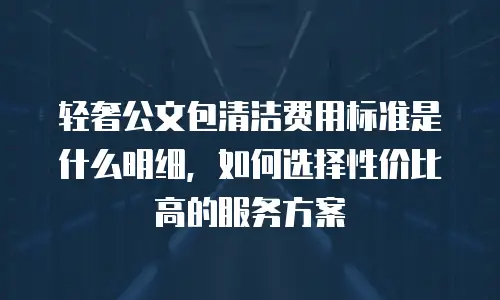轻奢公文包清洁费用标准是什么明细，如何选择性价比高的服务方案