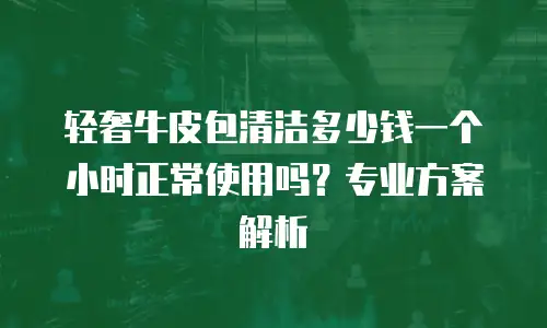 轻奢牛皮包清洁多少钱一个小时正常使用吗？专业方案解析