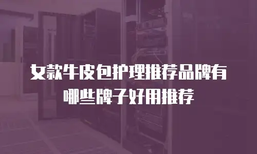 女款牛皮包护理推荐品牌有哪些牌子好用推荐