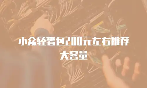 小众轻奢包200元左右推荐大容量
