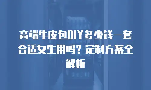 高端牛皮包DIY多少钱一套合适女生用吗？定制方案全解析