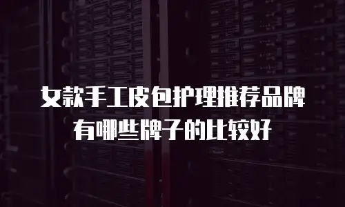 女款手工皮包护理推荐品牌有哪些牌子的比较好