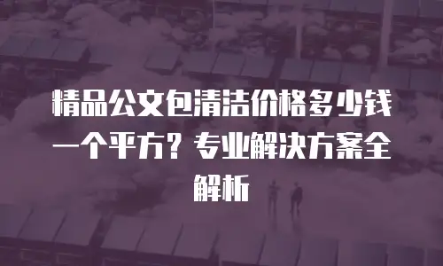 精品公文包清洁价格多少钱一个平方？专业解决方案全解析