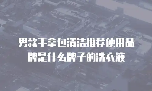 男款手拿包清洁推荐使用品牌是什么牌子的洗衣液