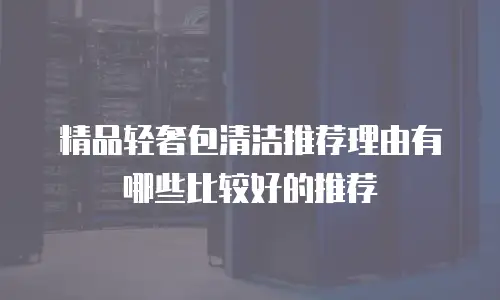 精品轻奢包清洁推荐理由有哪些比较好的推荐