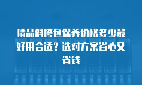 精品斜挎包保养价格多少最好用合适？选对方案省心又省钱