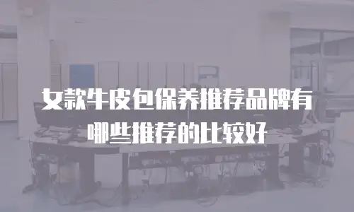 女款牛皮包保养推荐品牌有哪些推荐的比较好