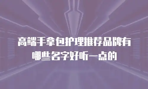 高端手拿包护理推荐品牌有哪些名字好听一点的