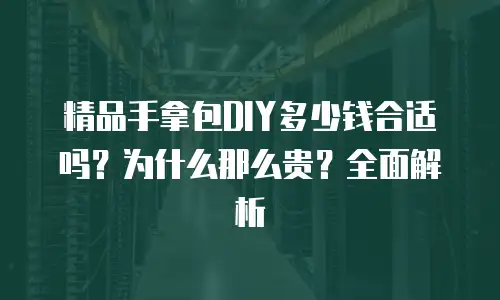 精品手拿包DIY多少钱合适吗？为什么那么贵？全面解析