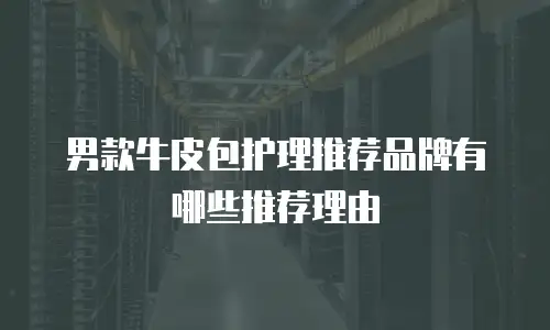 男款牛皮包护理推荐品牌有哪些推荐理由