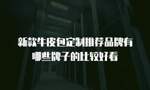 新款牛皮包定制推荐品牌有哪些牌子的比较好看