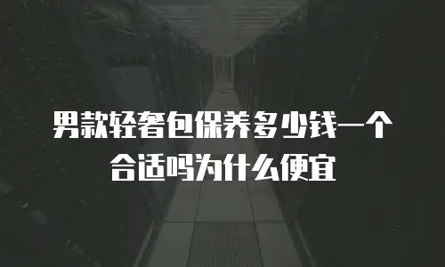 男款轻奢包保养多少钱一个合适吗为什么便宜