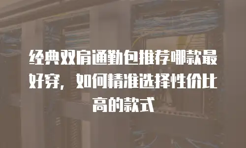 经典双肩通勤包推荐哪款最好穿，如何精准选择性价比高的款式