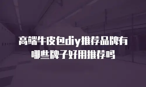 高端牛皮包diy推荐品牌有哪些牌子好用推荐吗