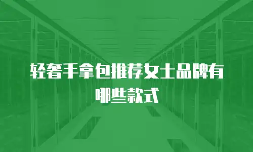 轻奢手拿包推荐女士品牌有哪些款式