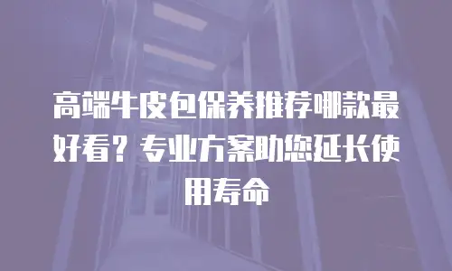 高端牛皮包保养推荐哪款最好看？专业方案助您延长使用寿命