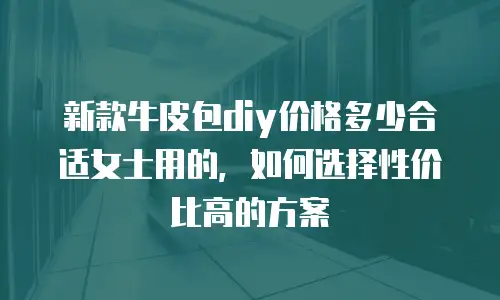 新款牛皮包diy价格多少合适女士用的，如何选择性价比高的方案