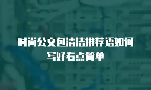 时尚公文包清洁推荐语如何写好看点简单