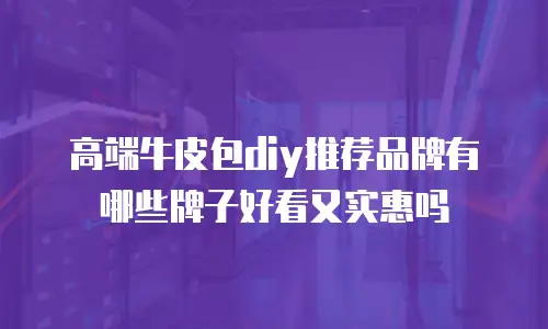 高端牛皮包diy推荐品牌有哪些牌子好看又实惠吗