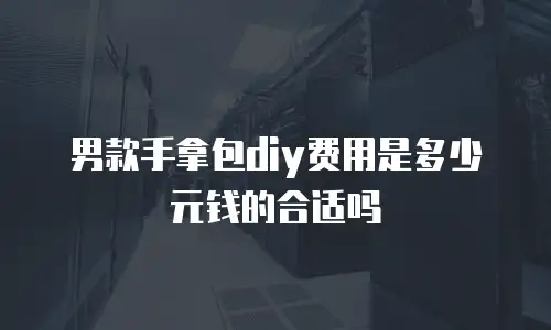 男款手拿包diy费用是多少元钱的合适吗