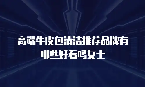 高端牛皮包清洁推荐品牌有哪些好看吗女士