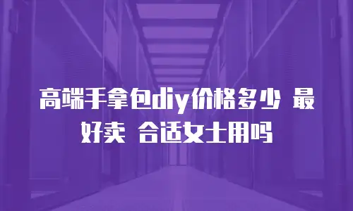 高端手拿包diy价格多少 最好卖 合适女士用吗