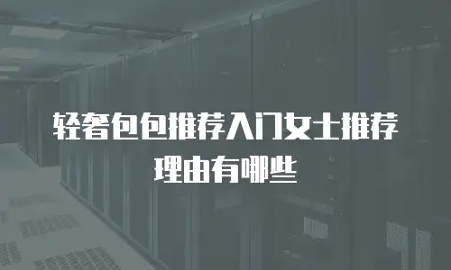 轻奢包包推荐入门女士推荐理由有哪些