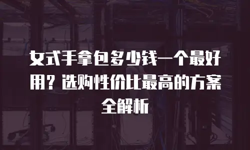 女式手拿包多少钱一个最好用？选购性价比最高的方案全解析