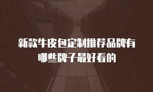 新款牛皮包定制推荐品牌有哪些牌子最好看的