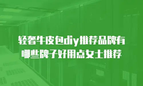 轻奢牛皮包diy推荐品牌有哪些牌子好用点女士推荐
