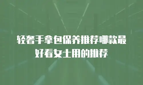 轻奢手拿包保养推荐哪款最好看女士用的推荐